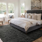 4x6 Ft Shag Rugs for Bedroom Living Room, Ultra Soft Fluffy Furry Area Rugs for Indoor Floor, Aesthetic Carpet for Kids Home Decor (Grey)