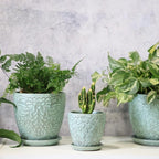 Succulent Planter for Indoor Plants, 4 Inch Small Ceramic Plant Pot with Drainage Holes and Saucers, Flower Pots for herb - Set of 4