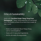 Aera Vibrance - Essential Oil for Home - Lively and Refreshing Fragrance - Notes of Tropical Florals, Grapefruit and Amber - Scent Refill - Works with The Aera Diffuser