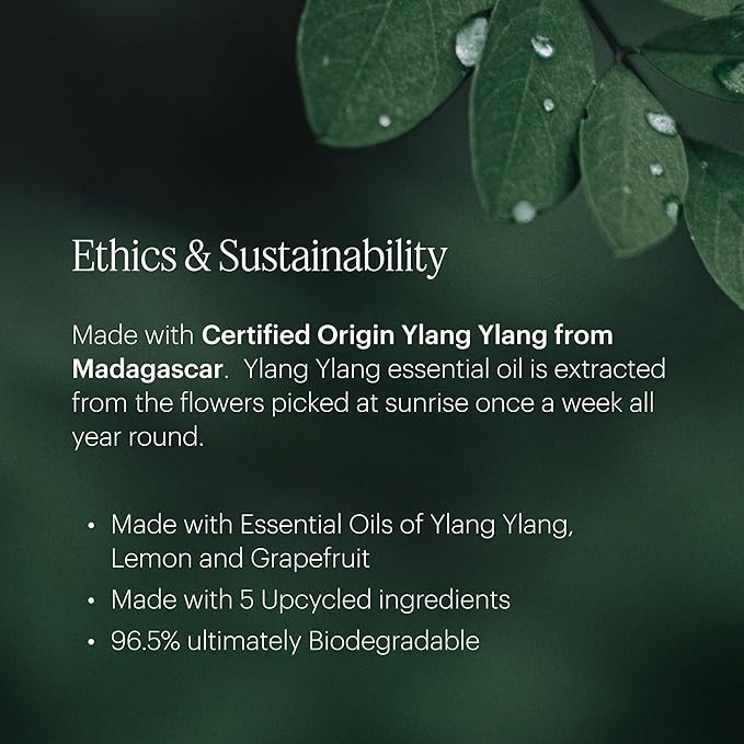 Aera Vibrance - Essential Oil for Home - Lively and Refreshing Fragrance - Notes of Tropical Florals, Grapefruit and Amber - Scent Refill - Works with The Aera Diffuser