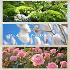 KRD Series Cute Scented Candles & Hanging Freshener Gift Set, 3 Ceramic Jar Candles with Pet Stickers + Ribbon Sachet, 4 Scents for Home & Car