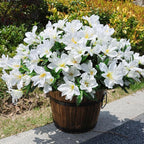 Artificial Flowers for Outdoors, 3 Bundles Fake Silk Azalea Bouquet Faux Flower Plants Outside Decoration UV Resistant Realistic Fake Flowers for Planter Front Door Patio Garden Walkways Home, White