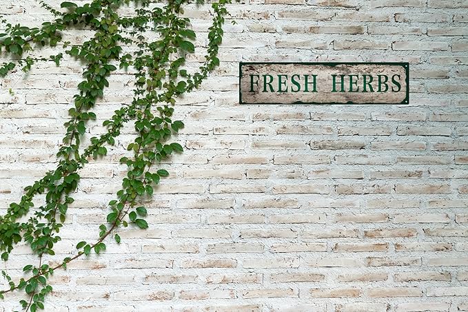 Vintage Tin Sign Retro Metal Fresh Herbs Signs for Home Decor Stylish Wall Art Plaques Gift for Home Bathroom Kitchen and Gothic Wall Decor in Every Room 16x4 in