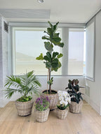 Rattan Kobo Indoor Outdoor Planter Basket with Plastic Pot X Large 12 Gallon Soil Capacity