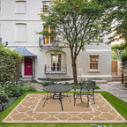 GENIMO 6' x 9' Outdoor Rug Waterproof for Patio Decor, Foldable Reversible Plastic Straw Area Rugs Mat for Camper, Outside Carpet for Rv, Deck, Porch, Picnic, Beach, Balcony, Brown & Beige