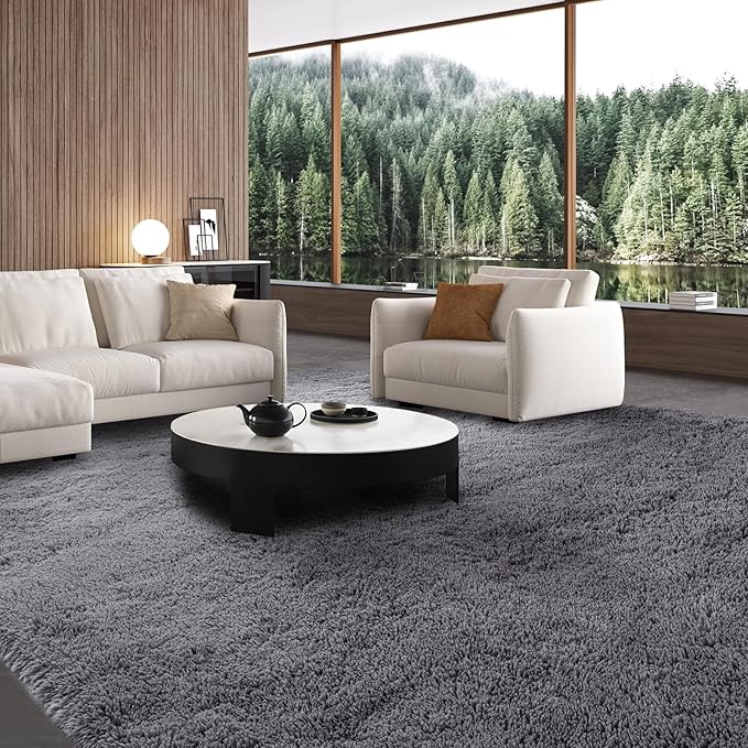 Shaggy Area Rug 10x14 for Living Room - Modern Indoor Shag Fuzzy Floor Carpet