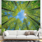 AMM Nature Forest Tree Celling Tapestry Lush Green Treetops Sunlit Tapestry for Bedroom Aesthetic Sky Sunlight Canopy Leaves Landscape Tapestries Wall Hanging for Living Room Dorm Office 60 x 44 Inch