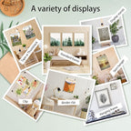 SIGNWIN Poster Bathroom Decor 11"x14"x 4, Wall Art Room Decor Multicolor for Living Room, Bedroom, Office Autumn Spring Rustic Flower Landscape Classic Vintage Retro Illustrations