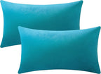 Throw Pillow Cases 12x20 Turquoise: 2 Pack Cozy Soft Velvet Rectangular Decorative Pillow Covers for Farmhouse Home Decor