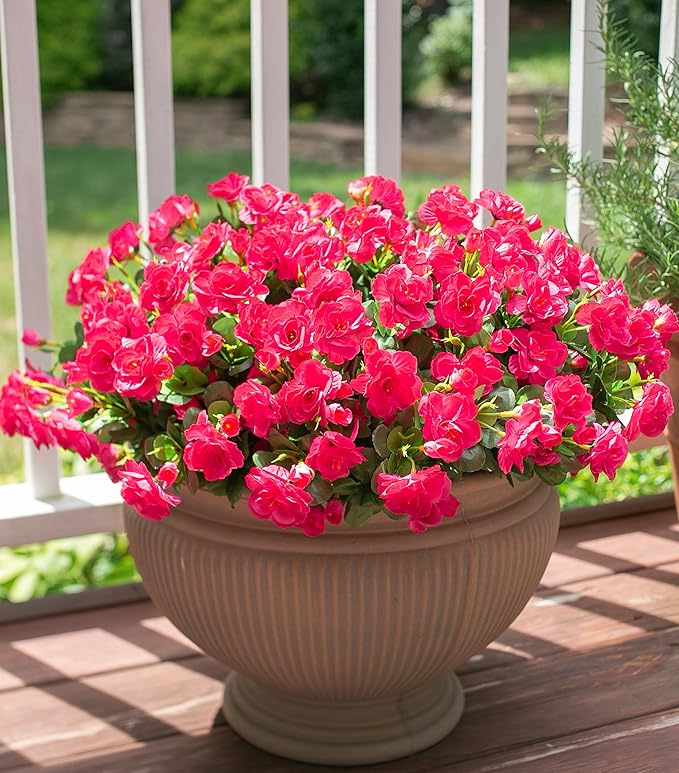 Ivydale Artificial Fake Camellia Flowers Plants for Outdoor Outside Fall Decoration, Faux Silk Hotpink Camellias UV Resistant Look Real for Planter Porch Patio Garden Yard, 3 Large Bundles