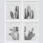SIGNWIN Framed Black & White Saguaro Southwest Desert Tropical Cactus Wall Art, Set of 4 Floral Botanical Wall Decor Prints, Nature Wilderness Wall Décor for Living Room, Bedroom - 11"x14" White