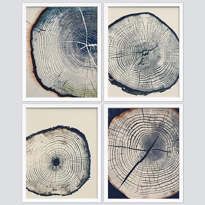 SIGNWIN Framed Blue & White Overexposed Wood Tree Ring Wall Art, Set of 4 Nature Wildernes Wall Decor Prints, Minimalism Wall Décor for Living Room, Bedroom - 11"x14" White