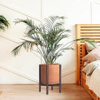 D'vine Dev Terracotta Planter with Walnut Color Stand - 12 Inch Modern Round Flower Pot with Wood Planter Holder, Terracotta, 55-B-W-5