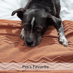 MIULEE Fall Orange Knitted Throw Blanket for Couch Boho Terracotta Rust Textured Cozy Woven Blanket with Tassels for Sofa Chair Bed Living Room Acrylic Wave Pattern 60"x80"