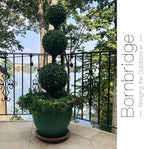 Bornbridge 4' Boxwood Ball Tree - Lifelike Artificial Outdoor Plant, UV and Water Resistant, Enhances Patio or Porch Decor