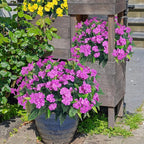 UUqueeten15.7” Fall Decorations for Home Fake Fall Flowers Fake Plants Artificial Impatiens Bouquet Flowers for Outdoors Silk Faux Flowers Impatiens Plants Decor Indoor Planters 8PCS (Purple)