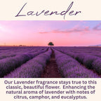 Lavender Scented Candle, Many Scents to Choose from, All Natural Non-Toxic Soy Wax, Handmade in The USA (Lavender)