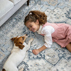 GENIMO 4x6 Area Rugs for Living Room, Machine Washable Rug, Non Slip Vintage Rugs, Low Pile Lightweight Chenille Print Rug for Bedroom, Dining Room, Home Office, Blue