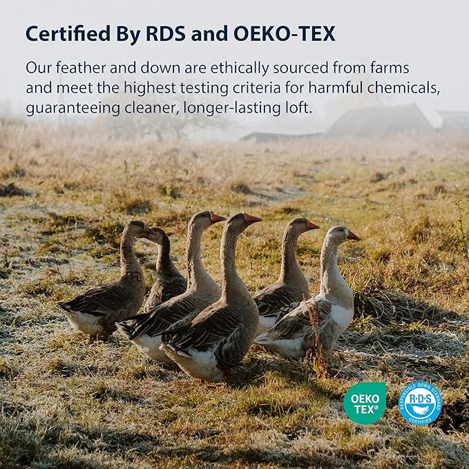 Pacific Coast Bed Pillow, Hotel Collection Goose Feather and Down Pillow for Sleeping, 3-Chamber Design, Medium Supportive, Standard Size