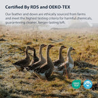 Pacific Coast Bed Pillow, Hotel Goose Feather and Down Pillow for Sleeping, 3-Chamber Pillow with High Thread Count 100% Cotton Shell, Queen Size