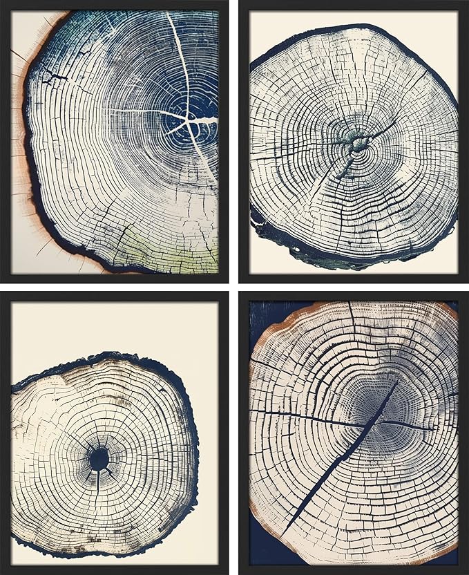 SIGNWIN Framed Blue & White Overexposed Wood Tree Ring Wall Art, Set of 4 Nature Wildernes Wall Decor Prints, Minimalism Wall Décor for Living Room, Bedroom - 11"x14" Black