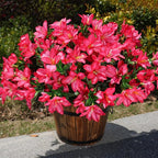 Artificial Flowers for Outdoors, 3 Bundles Fake Silk Azalea Bouquet Faux Flower Plants Outside Decoration UV Resistant Realistic Fake Flowers for Planter Front Door Patio Garden Walkways Home, Hotpink