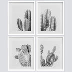 SIGNWIN Framed Black & White Saguaro Southwest Desert Tropical Cactus Wall Art, Set of 4 Floral Botanical Wall Decor Prints, Nature Wilderness Wall Décor for Living Room, Bedroom - 12"x16" White