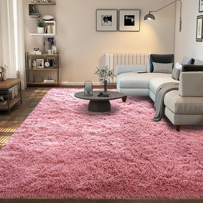 Soft Plush Shag Rug 5x7, Ultra Fluffy Rug for Living Room Bedroom, Non-Slip Fuzzy Large Area Rug for Living Room, Carpet for Girl Boy Kids, Modern Indoor Home Decor Aesthetic, Cameo Pink