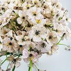 Uieke 72 Bundles Outdoor Artificial Flowers UV Resistant Outdoor Fake Flowers No Fade Faux Plastic Plants for Garden Porch Window Box Home Outside Spring Summer Décor (White)