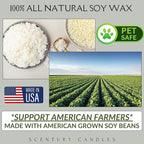 Lush Linen Scented Candle, Many Scents to Choose from, All Natural Non-Toxic Soy Wax, Handmade in The USA(Lush Linen)