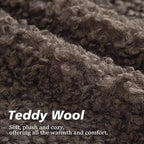 Foindtower 2 Pieces Teddy Faux Fur Throw Pillow Cover Decorative Sherpa Pillow Fuzzy Accent Pillowcases Soft Sheepskin Fleece Cushion Case for Bed Couch Living Room 18x18 Inch Chocolate