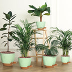 Uneed Indoor Self Watering Planters with Drainage Holes and Saucers, 7/6.5/6/5.5/5 Inch-5 Pots,for Indoor Plants, Herbs, Succulents-Green