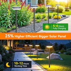 LETMY Solar Pathway Lights Outdoor, 6 Pack 2X Brighter Solar Lights Outdoor Waterproof, Taller Pathway Light with Larger Panel, Auto On/Off Up to 12Hrs Driveway Light for Yard Outside Patio Path Lawn
