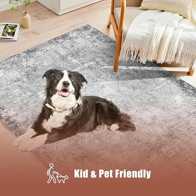 4' x 6' Washable Area Rug - Low Pile Soft Vintage Indoor Rug for Living, Dining or Bedroom - Lightweight Carpet with Non-Slip Backing - Foldable for Easy Placement, Grey