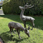 Elegant Pair of Cast Iron Deer Sculptures -22" and 11.4" Tall Male and Female Set for Outdoor Garden Decor, Realistic Animal Statues HC3672-5691