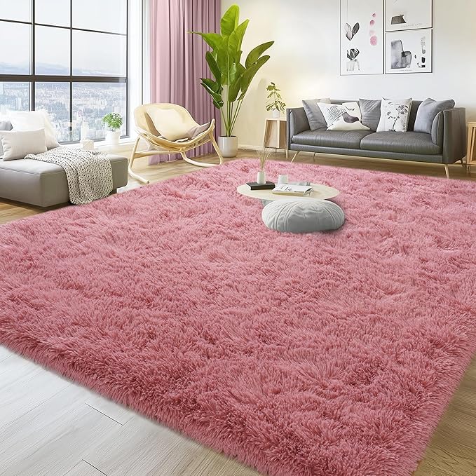 Soft Plush Shag Rug 5x7, Ultra Fluffy Rug for Living Room Bedroom, Non-Slip Fuzzy Large Area Rug for Living Room, Carpet for Girl Boy Kids, Modern Indoor Home Decor Aesthetic, Cameo Pink