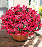 Ivydale Artificial Flowers for Outdoors, 4 Bundles Fake Bougainvillea Flower UV Resistant Silk Flowers for Outside, Outdoor Faux Plants for Planter Patio Porch Window Garden Home Decoration (Hotpink)