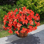 INSPRING Artificial Fall Flowers for Outdoors Decoration, 3 Bundles Fake Silk Azalea Flower Plants Outside UV Resistant Realistic Faux Flowers for Planters Porch Patio Garden Walkways Home, Orange