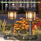 XMCOSY+ Solar Pathway Lights Outdoor Waterproof IP65 - Dual-Tone 25 LM LED Solar Garden Lights for Yard, Glass Outdoor Lighting for Garden Patio Yard Landscape Walkway Driveway Lawn Decor (Warm White)