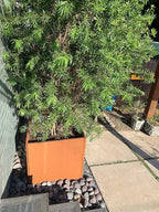 Corten Steel Planter Box Metal Square Planters Steel Large Planter Outdoor Tall Plant Durable Antique Detached for Commercial Residential Patio Deck and Backyard 26 Inch