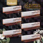 Tulasi Palo Santo Smudge Incense Sticks Pack – 48 Natural Smudge Sticks (6 Boxes x 8) | Long Burning (55 Min) | Aromatherapy, Spiritual Cleansing, Meditation, Mood Lifting, Air Purifying Incense