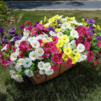 HyeFlora Artificial Flowers for Outdoors Fake Plants Outside Decoration, 12 Bundles Silk Colorful Morning Glory with Eucalyptus UV Resistant Realistic Faux Flowers for Planter Front Door Garden Yard