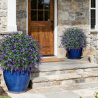 HyeFlora 2 Pack Artificial Topiary Boxwood Ball Trees with Lavender Fake Plants for Outdoor Indoor Artificial Shrubs with Ground Spike UV Resistant Fake Bushes for Front Porch Garden (Purple)