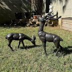 Elegant Pair of Cast Iron Deer Sculptures -22" and 11.4" Tall Male and Female Set for Outdoor Garden Decor, Realistic Animal Statues HC3672-5691