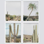 SIGNWIN Framed Tropical Palm Tree Saguaro Cactus Wall Art, Set of 4 Desert Landscape Wall Decor Prints, Nature Wilderness Wall Décor for Living Room, Bedroom - 8"x10"x 4 White