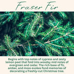 Fraser Fir Pine Scented Candle, Many Scents to Choose from, Christmas Tree Scented, All Natural Non-Toxic Soy Wax, Handmade in The USA (Fraser Fir)