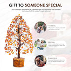 Carnelian Chakra Tree of Life - Crystal for Positive Energy, Handmade Gemstone Feng Shui Decor, Good Luck Money Tree Bonsai - Orange Healing Crystals for Sacral Chakra, Prosperity Gift