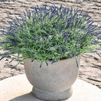 UV-Resistant Artificial Lavender Flowers – Certified Fade-Proof Outdoor Decor – Realistic Purple Fake Plants for Patio, Garden, and Landscaping (UV Resistant Dark Purple Lavender)