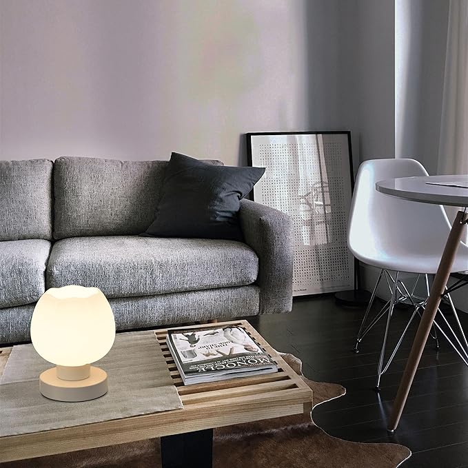 Touch Bedside Lamp, Mini Stepless Dimmable Table Lamps for Bedroom for Night Stands, Small Desk Lamp with Brightness Memory, USB Charging Ports, Warm LED Bulb, White, Flower Shape, 1 Set