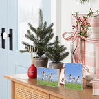 Acrylic Frame 4x6 Inch 5pack, Clear Acrylic Picture Frame with Thickness 10+10mm, Transparent Magnetic Picture Frame with Double Sided Free Standing, Framless Tabletop Photo Frame for Family